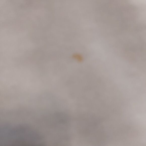 Festive 'Planters Punch' Sweater  - Picture 9 of 9